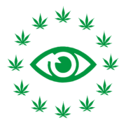 (c) Observatoriocannabis.com
