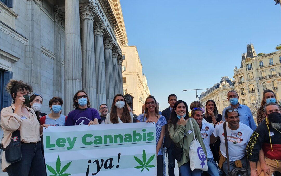 Sociedad Civil Cannábica ante el bloqueo político de una Ley de Cannabis