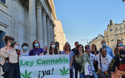Sociedad Civil Cannábica ante el bloqueo político de una Ley de Cannabis